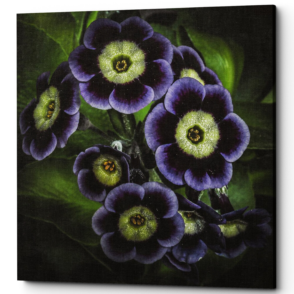 Картина на холсте 60х60 см разноцветная Prism Violet