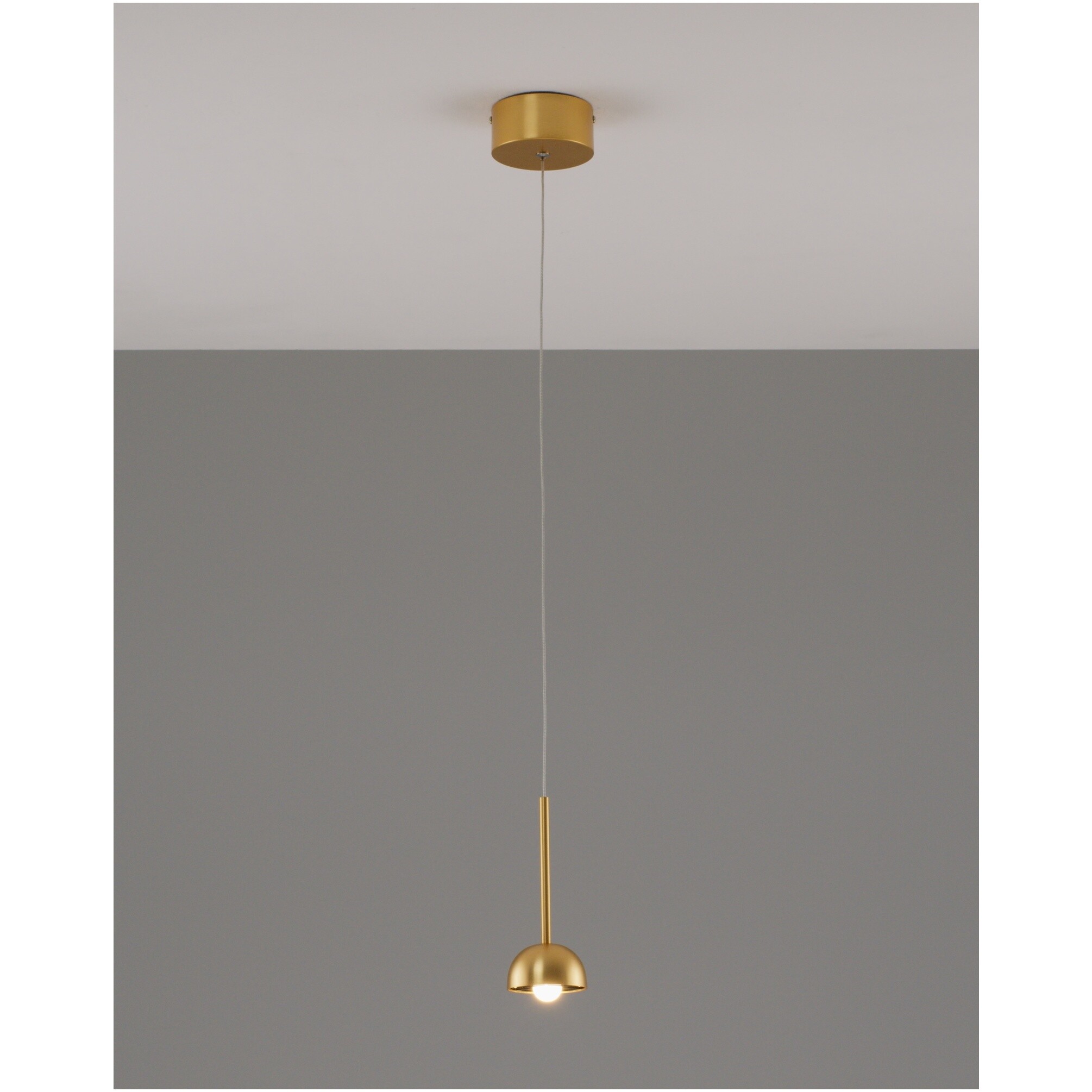 Подвесной светильник светодиодный золотой Fiona V10894-PL