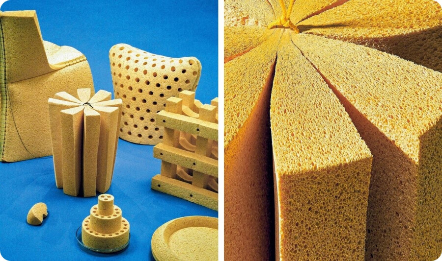 Sponge