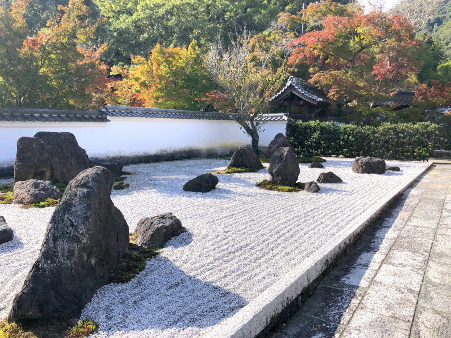 Место дзена: Что можно увидеть в Японском саду, открывшемся в Краснодаре
