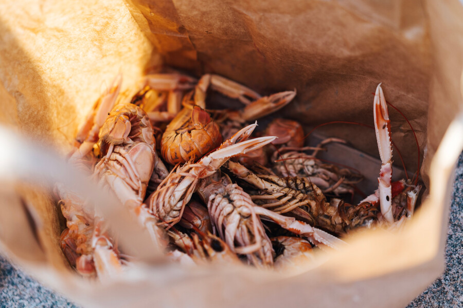 Страница Салат из морепродуктов, вкусных рецептов с фото Алимеро