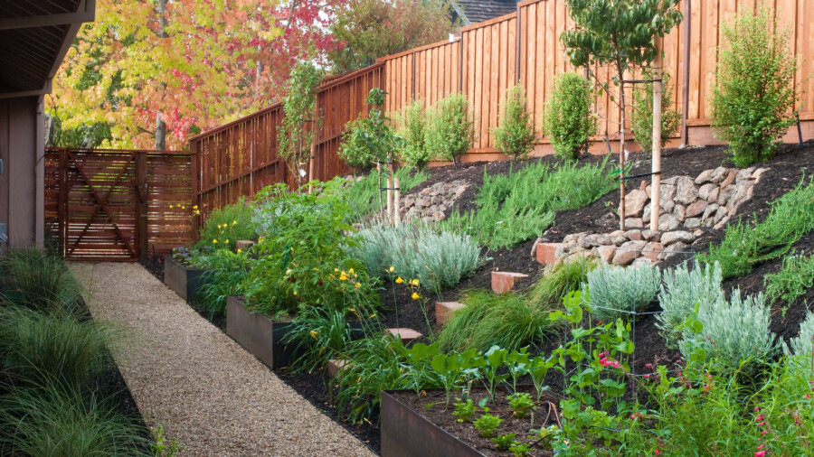 Как сделать сад на склоне: 7 способов от ландшафтного дизайнера