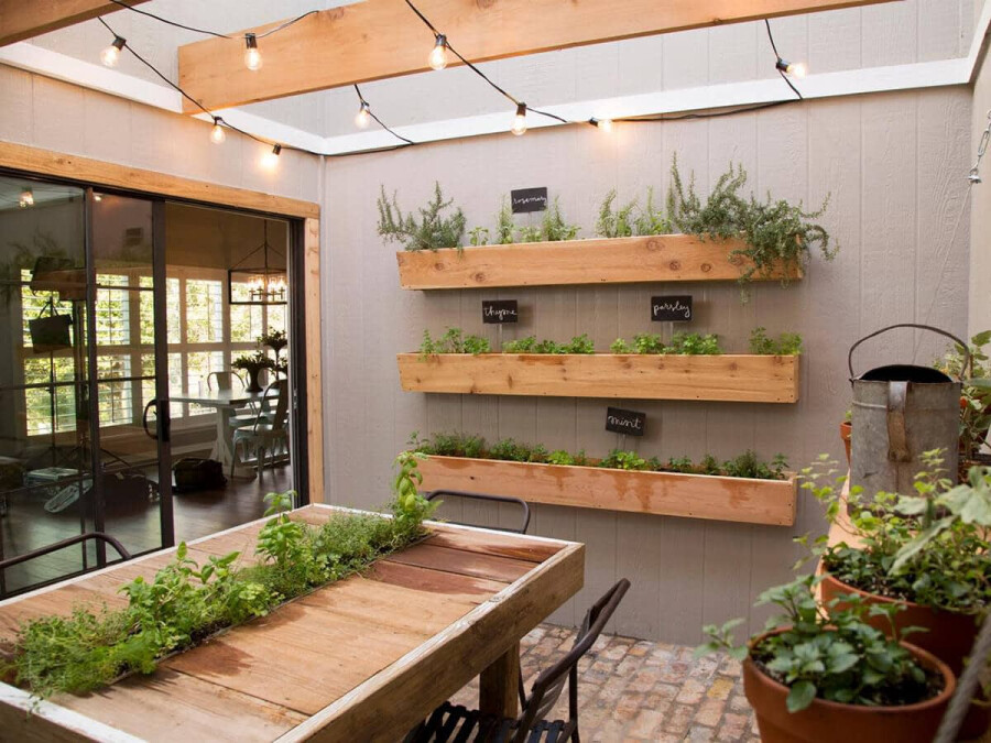 Огород на подоконнике: 25 полезных продуктов, которые можно вырастить в домашних условиях