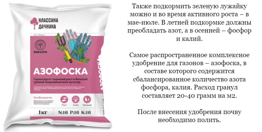 Удобрение для дачного газона
