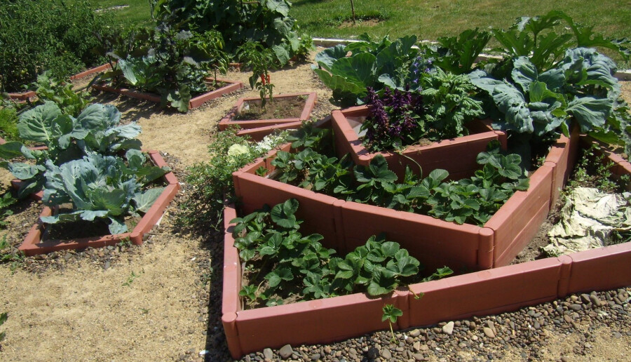 Красивые грядки своими руками: 50 идей, как украсить огород и вырастить хороши�й урожай