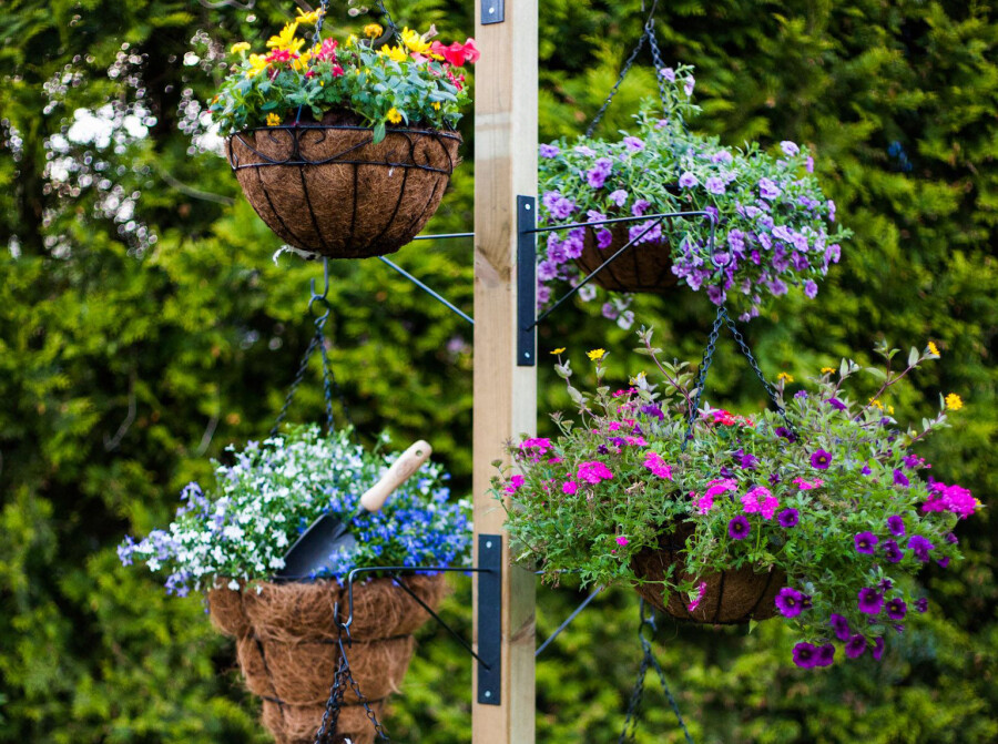 Как организовать вертикальные клумбы и цветники у себя дома: изготовление  своими руками