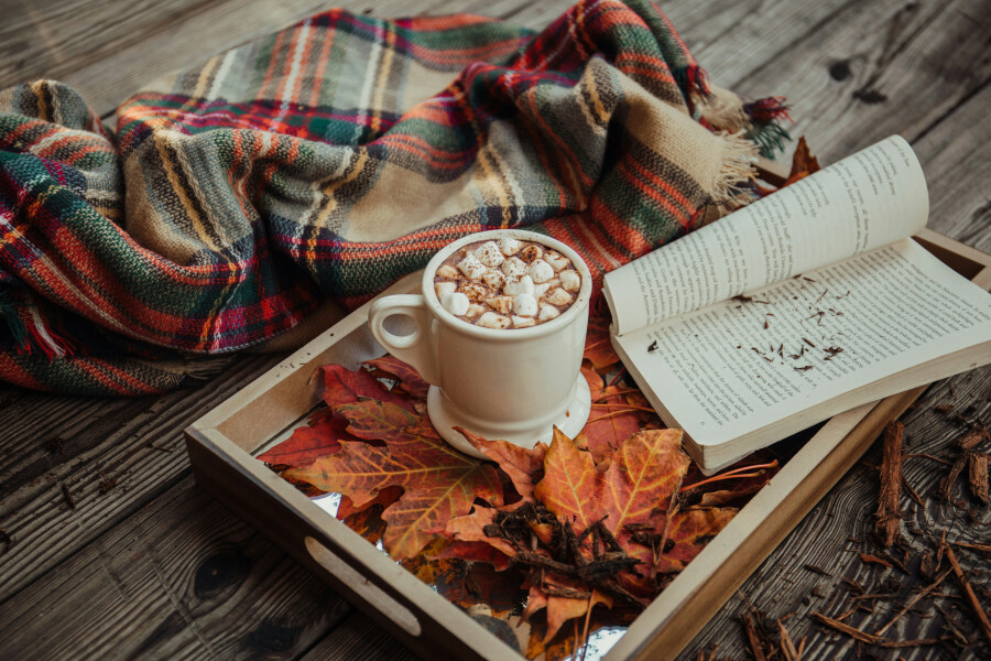 Поднос с какао, книгой и плед