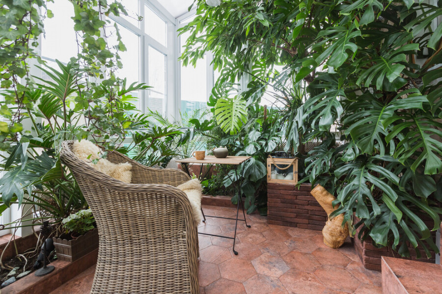 Как обустроить зимний сад на лоджии в квартире, чтобы он радовал пышной  зеленью круглый год
