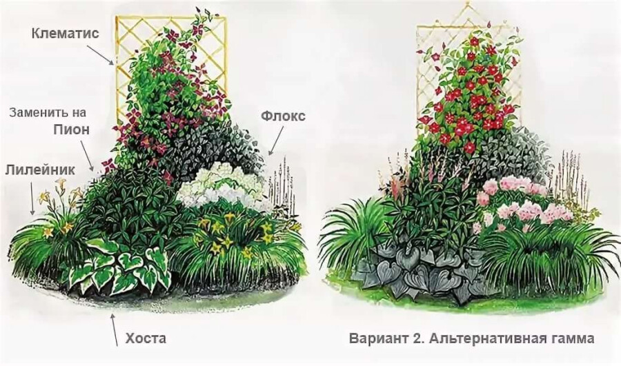 Миксбордер с розами вдоль дорожки