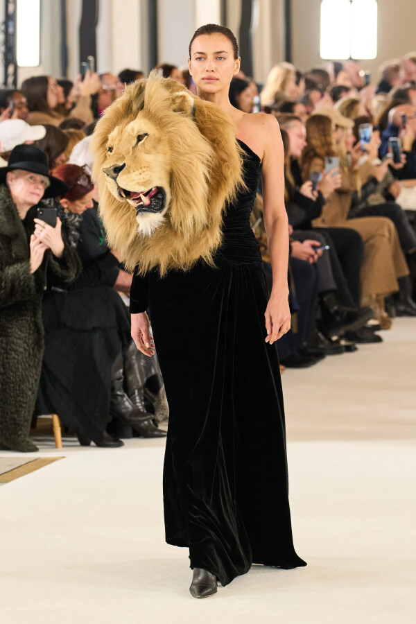 Schiaparelli фото 2