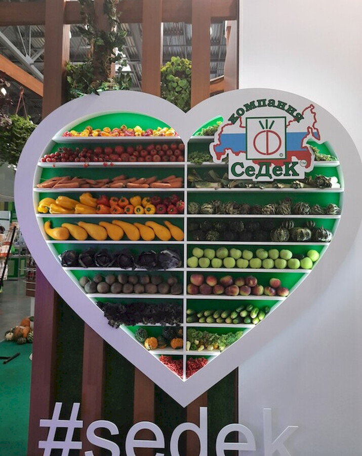 Седек