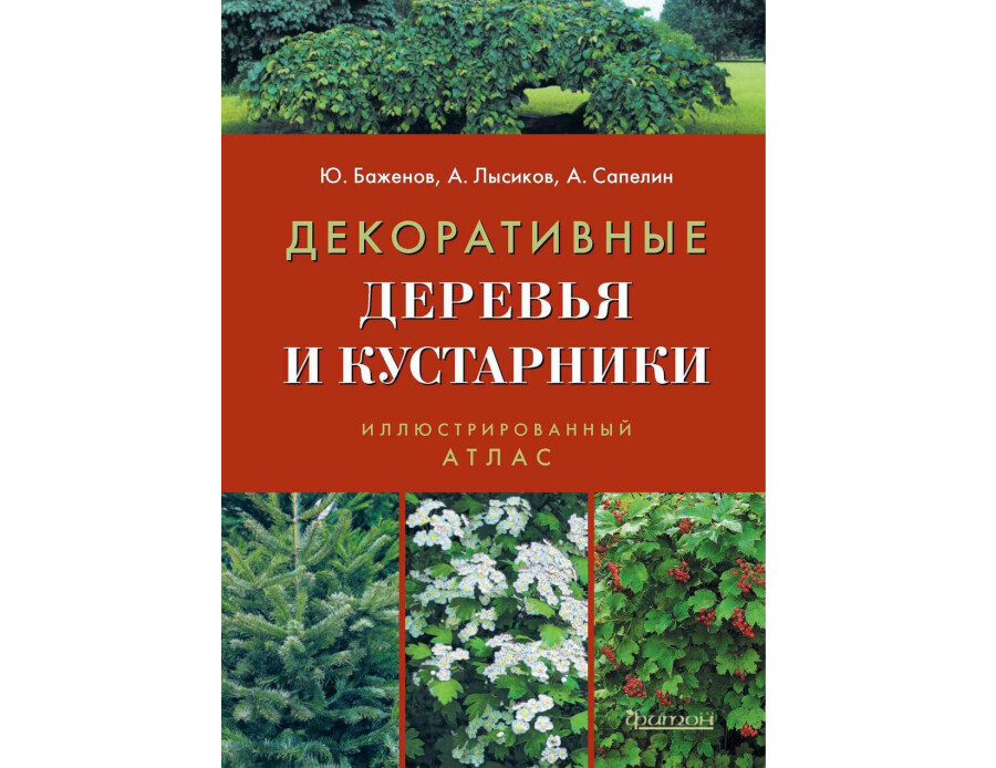 Деревья
