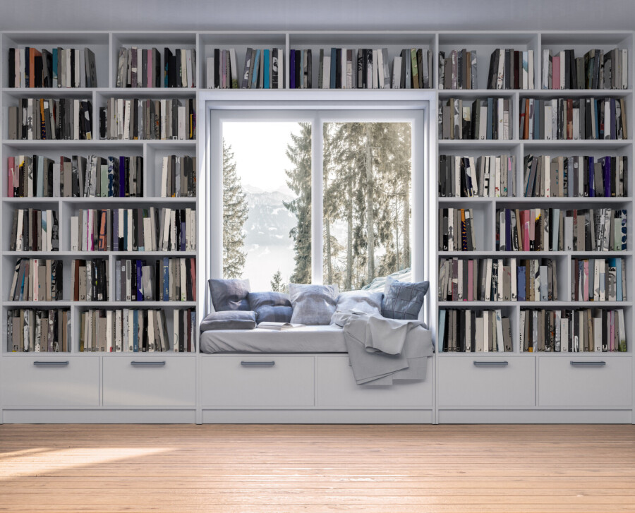 Книжные полки у окна 