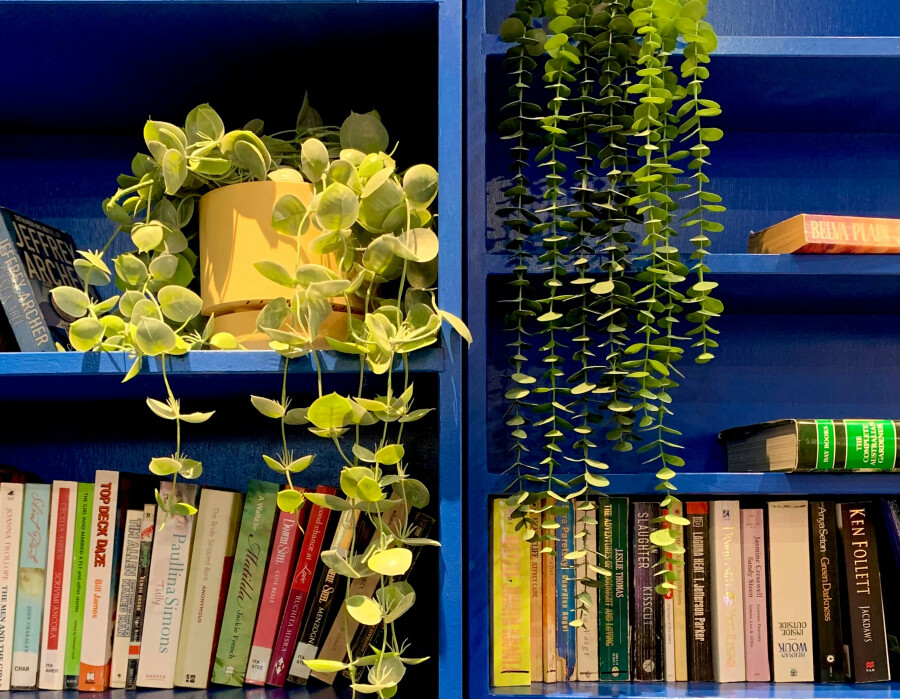 Синяя книжная полка
