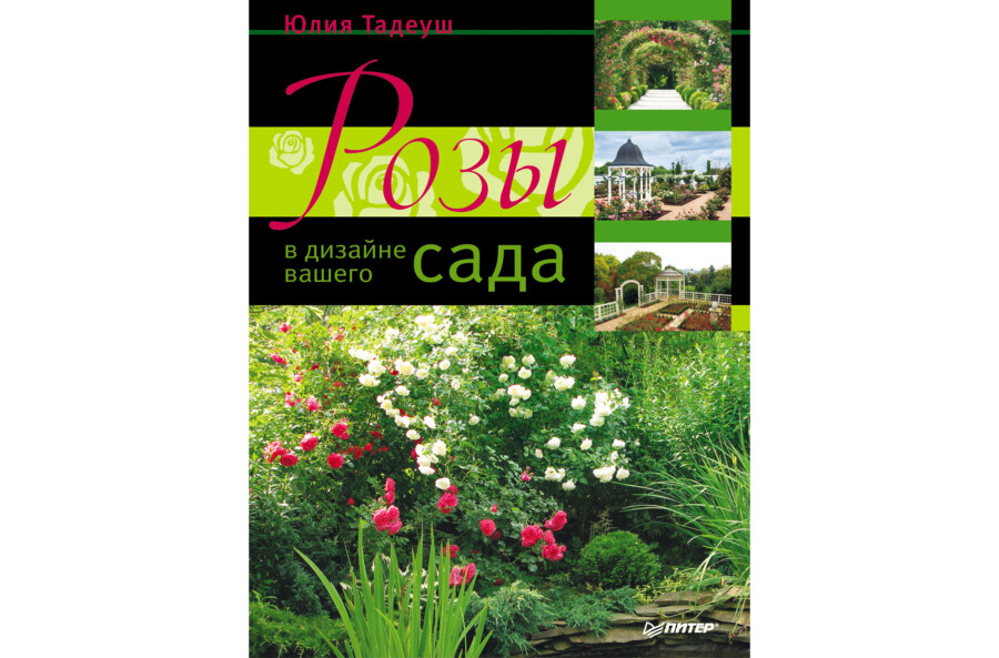 Розы