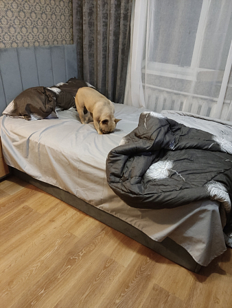 Кровать полутораспальная с подъемным механизмом и ящиком для белья 120х200 серо-голубая Вега
