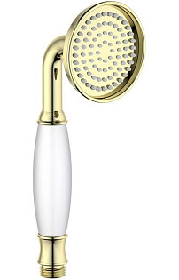 Лейка для ручного душа золотая Aquatek "Классик" AQ2008PG