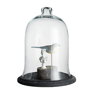 Декоративый купол Птица Книга и Кости