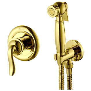 Смеситель встраиваемый с гигиеническим душем золотой Lemark Brava LM4719G