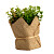 Искусственное растение Potted Herb Kolina