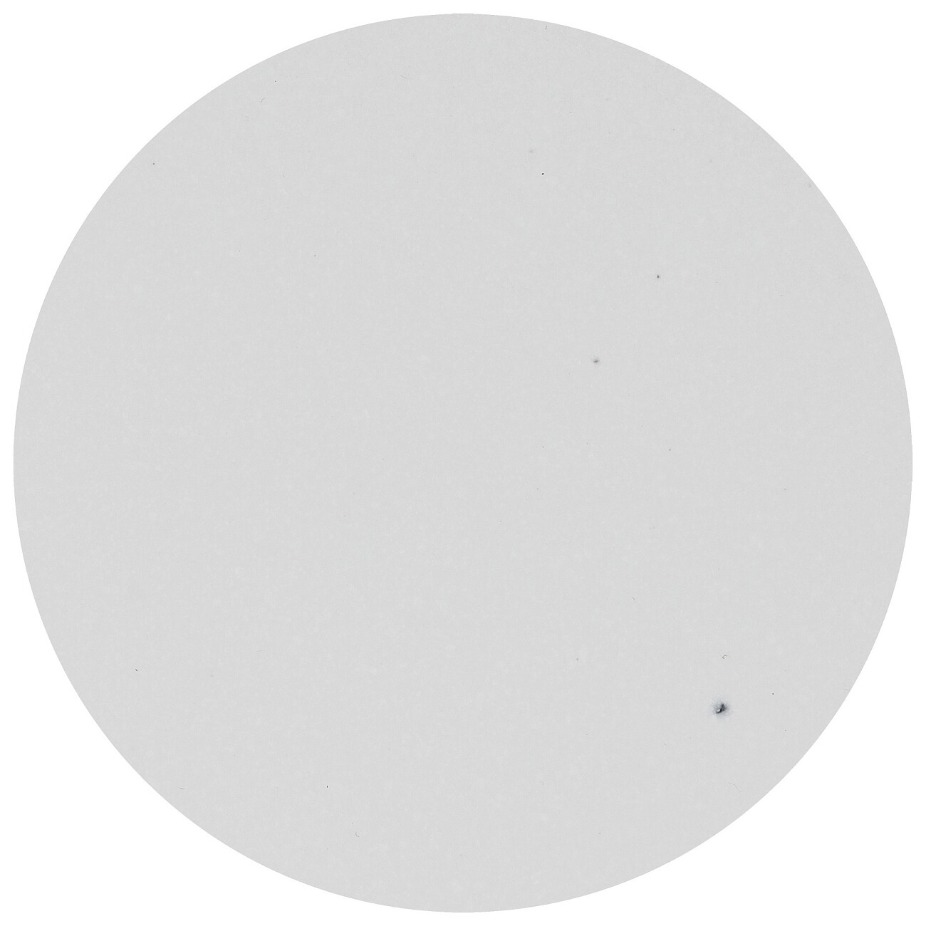 Мойка кухонная кварцевая прямоугольная белая Reflection Zia RX1251WH - изображение 4